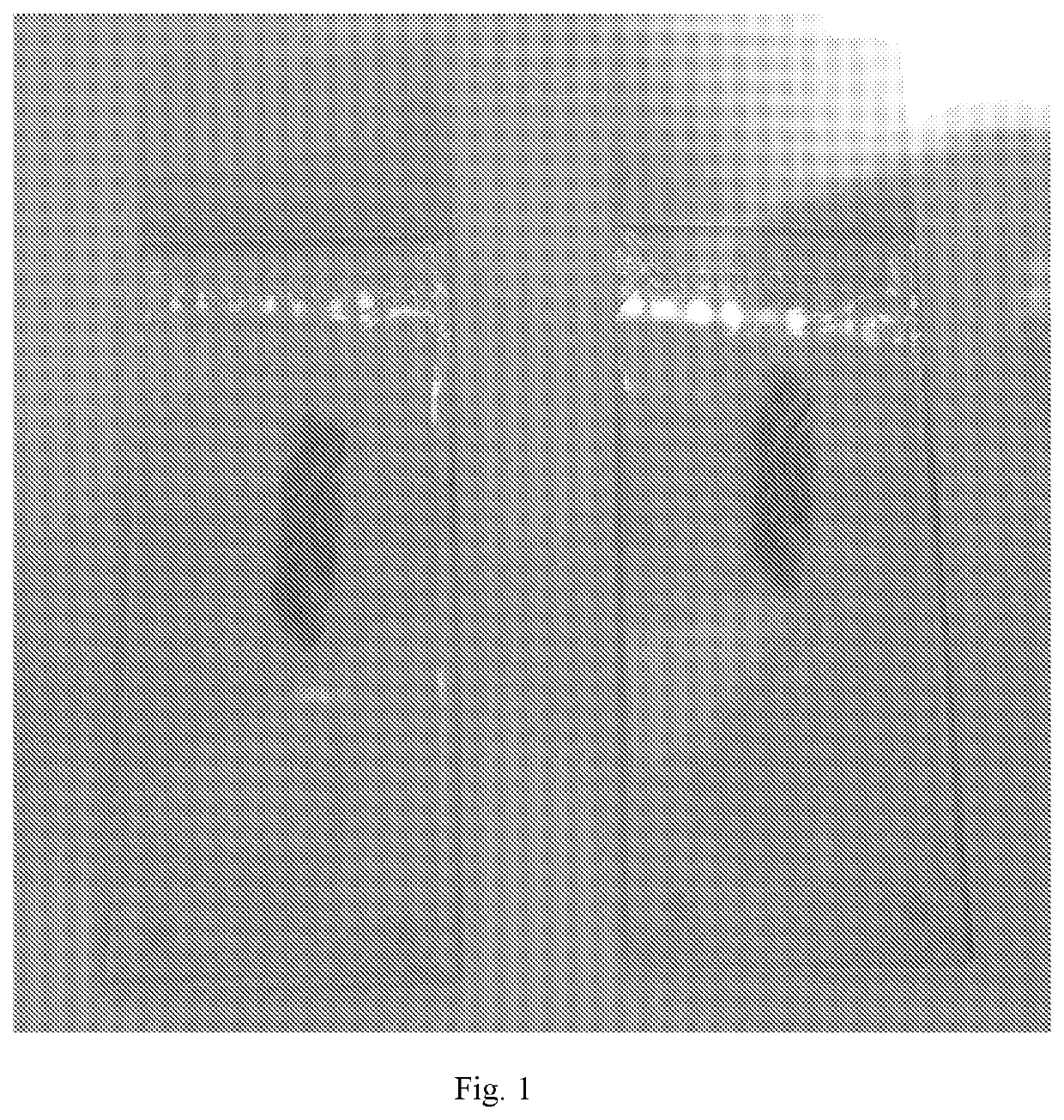 Method for the preparation of biological samples and composition for mounting microscope slides