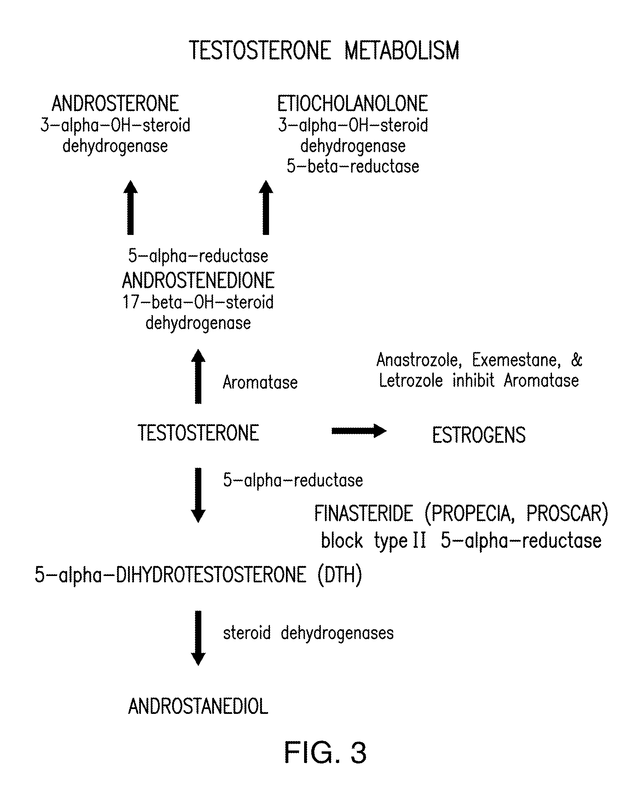 Methods of treating autism and autism spectrum disorders