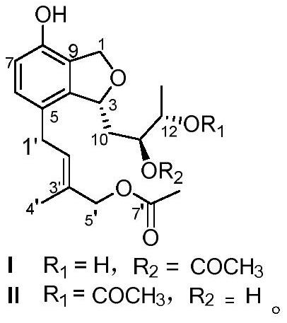 Polyketone compound derived from sponge endophytic fungi and application of polyketone compound in preparation of anti-inflammatory drugs