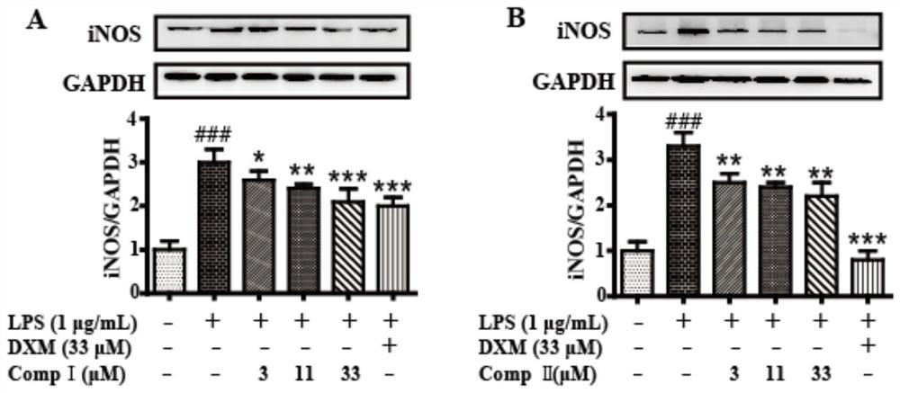 Polyketone compound derived from sponge endophytic fungi and application of polyketone compound in preparation of anti-inflammatory drugs