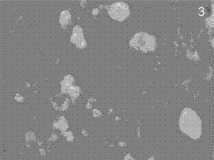 Biodegradable material containing ladder-like polysilsesquioxane and preparation method of biodegradable material