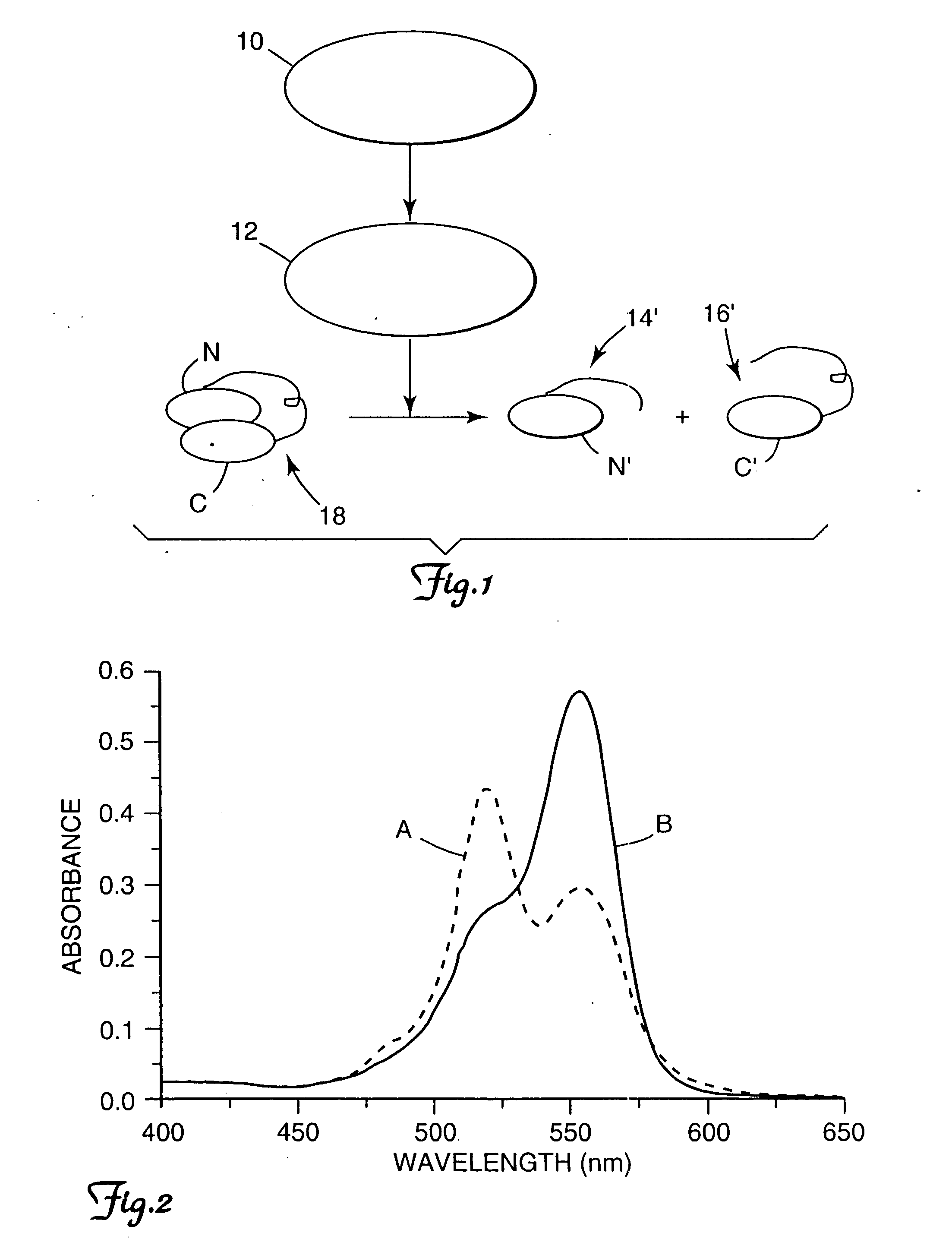 Fluorogenic protease substrates based on dye-dimerization