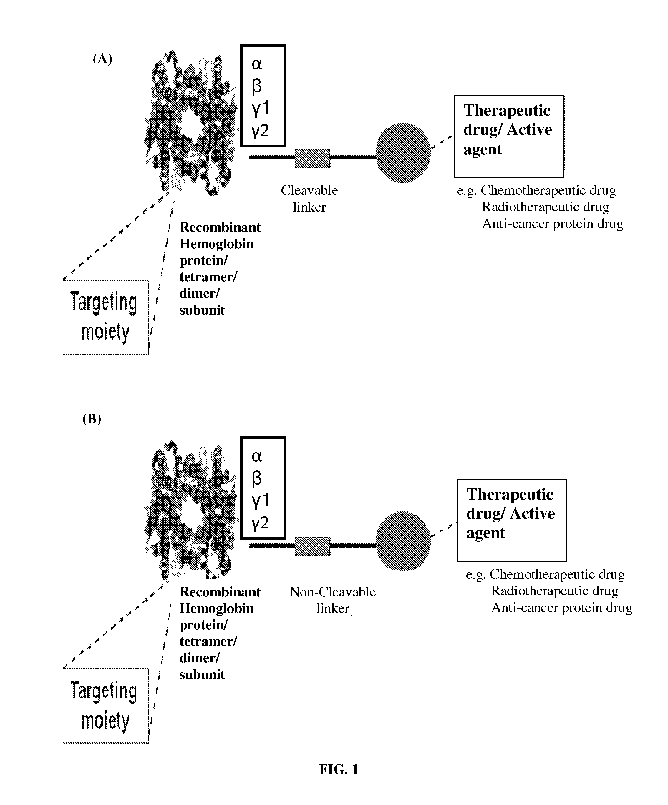 Pharmaceutical composition comprising recombinant hemoglobin protein or subunit-based therapeutic agent for cancer targeting treatment