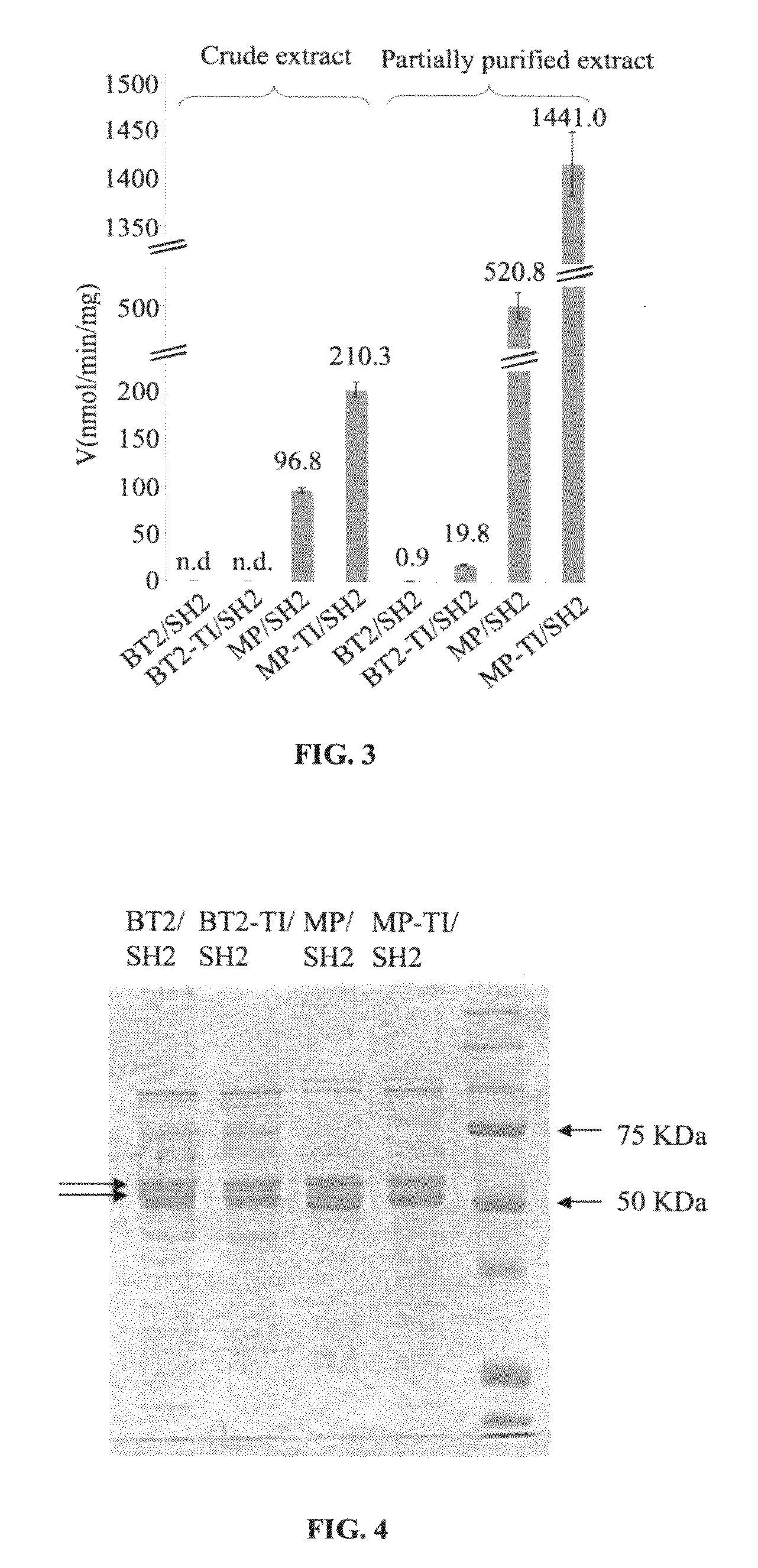 Heat resistant plants and plant tissues and methods and materials for making and using same