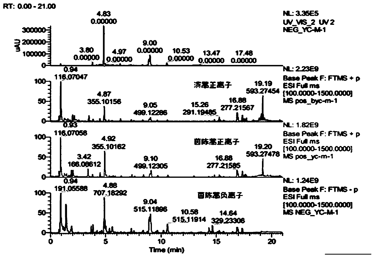 Method for rapid variation screening of different base sources of artemisia capillaris and artemisia scoparia through UPLC-MS-MS