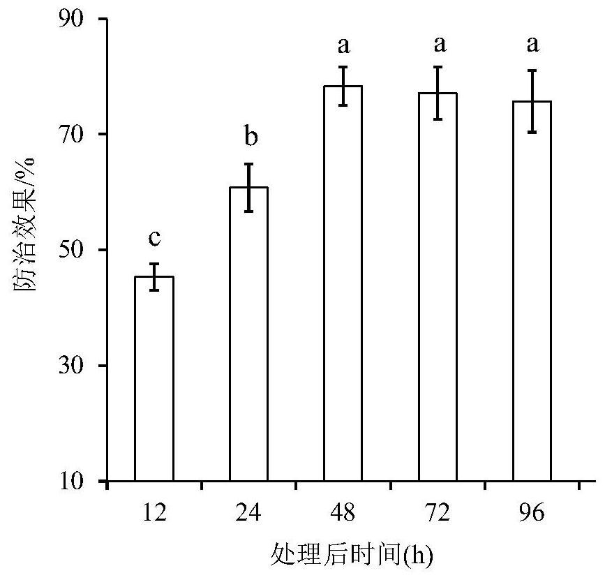 Application of pipecolic acid as plant disease resistance activator in the control of apple fruit diseases