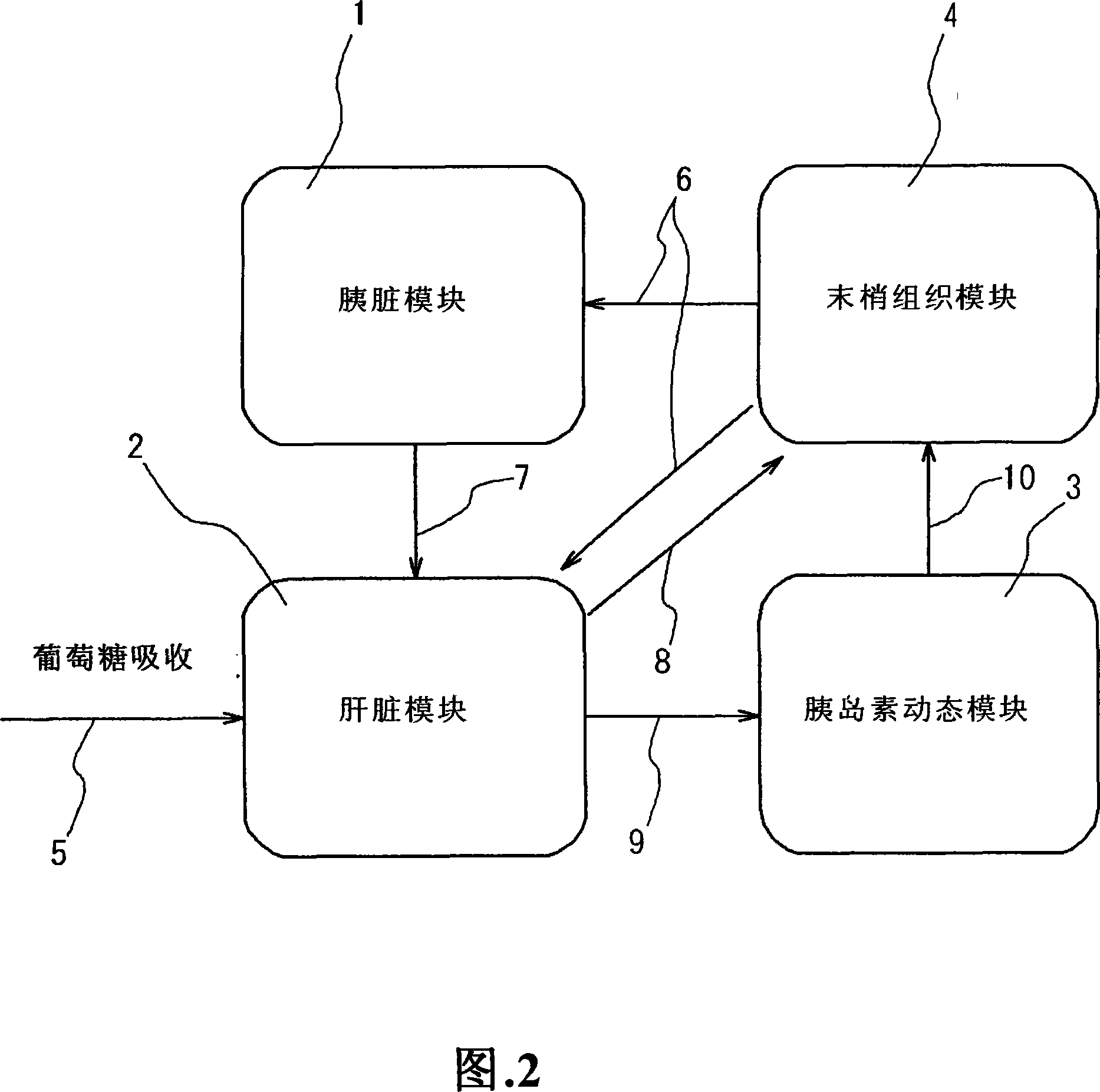 Simulation system of function of biological organ