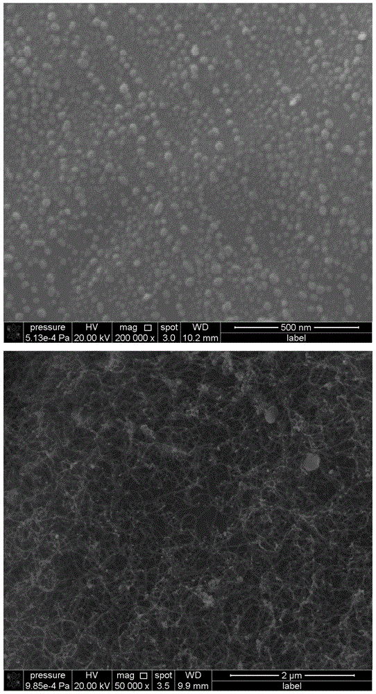 A method for in-situ self-growth of carbon nanotubes on the surface of silicon carbide particles