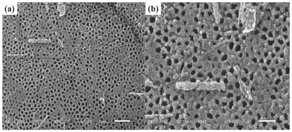 A kind of sodium bismuth titanate nanotube and preparation method thereof