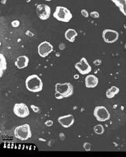 Liposome preparation for anticoagulant thrombolytic difunctional fusion protein and preparation method thereof