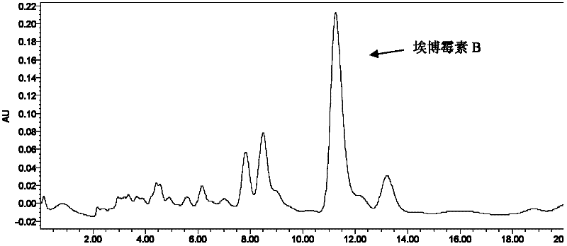 Fermentation production process of Epothilone B