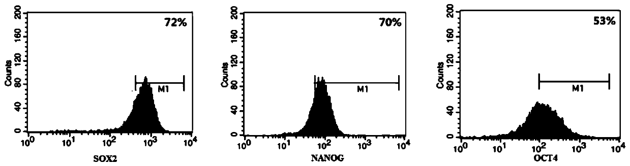 A preparation method and application of human breast milk stem cells