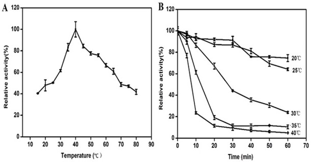 Recombinant alginate lyase AlyL7 and application thereof