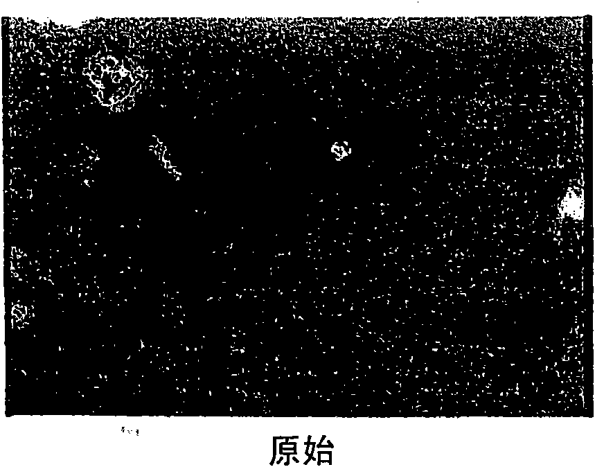 System and method for enhancing the visibility of an object in a digital picture