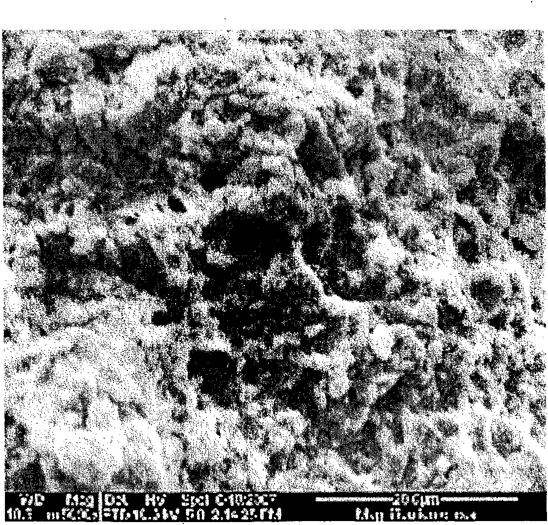 Mg/Al/X ternary composite metal oxide catalyst and preparation method thereof