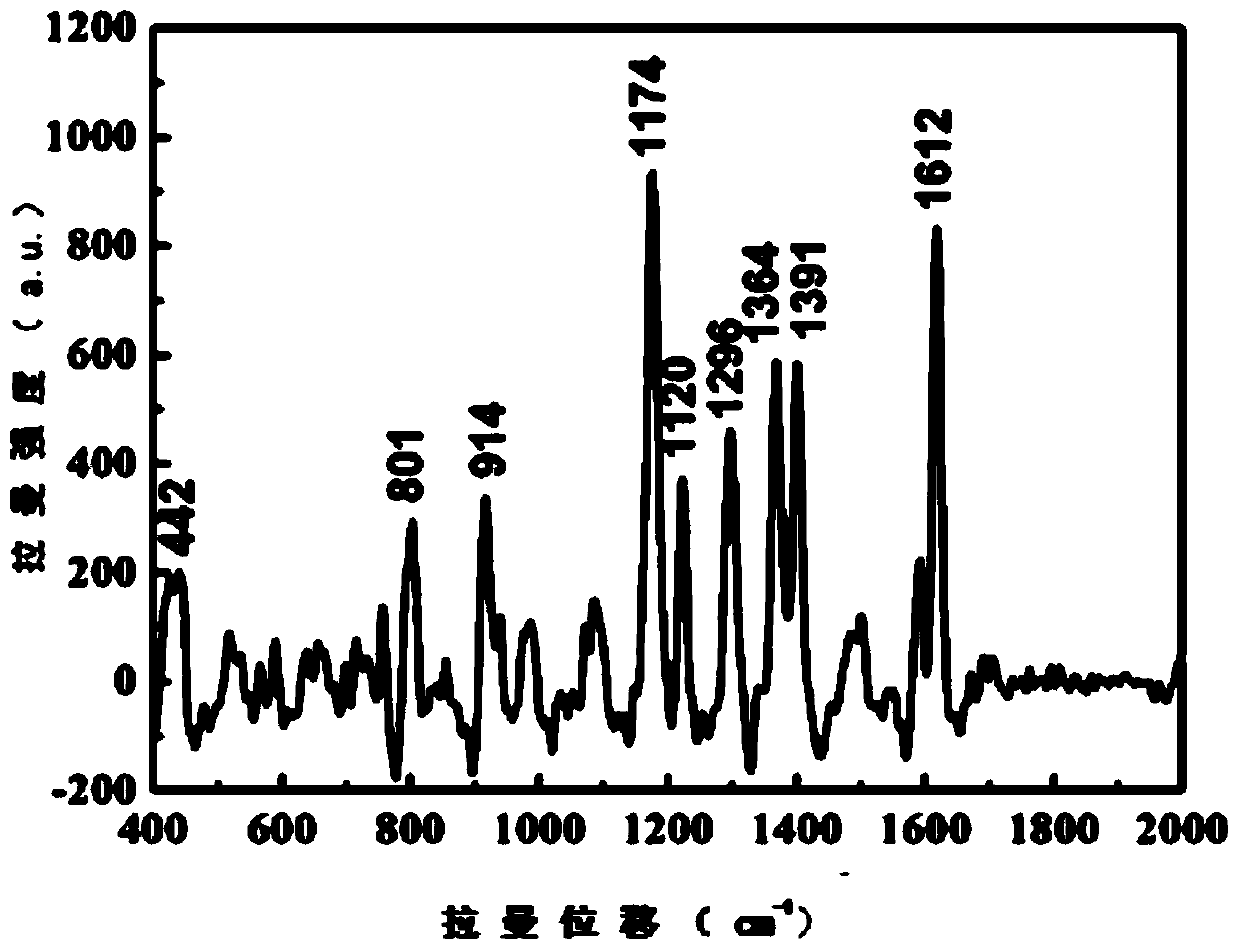 Method for preparing surface enhanced Raman substrate