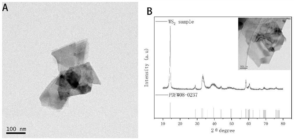 Ni-W-WS2 nano composite coating and preparation method thereof