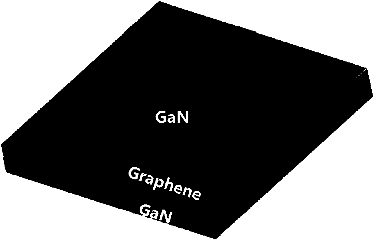 Method for homoepitaxially growing gallium nitride, gallium nitride material and application thereof