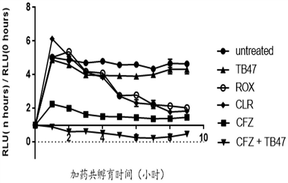 New application of pyrazolo[1,5-a]pyridine compounds and a composition for treating Mycobacterium abscessus infection