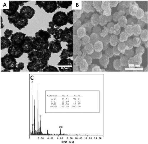 Magnetic nanometer material as well as preparation method thereof and application of magnetic nanometer material in radioactive element treatment