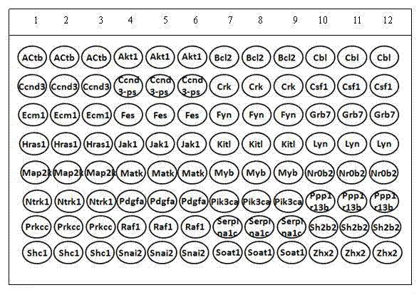 Application of KIT signal related gene QPCR (quantitative polymerase chain reaction) chip to mouse piebaldism detection