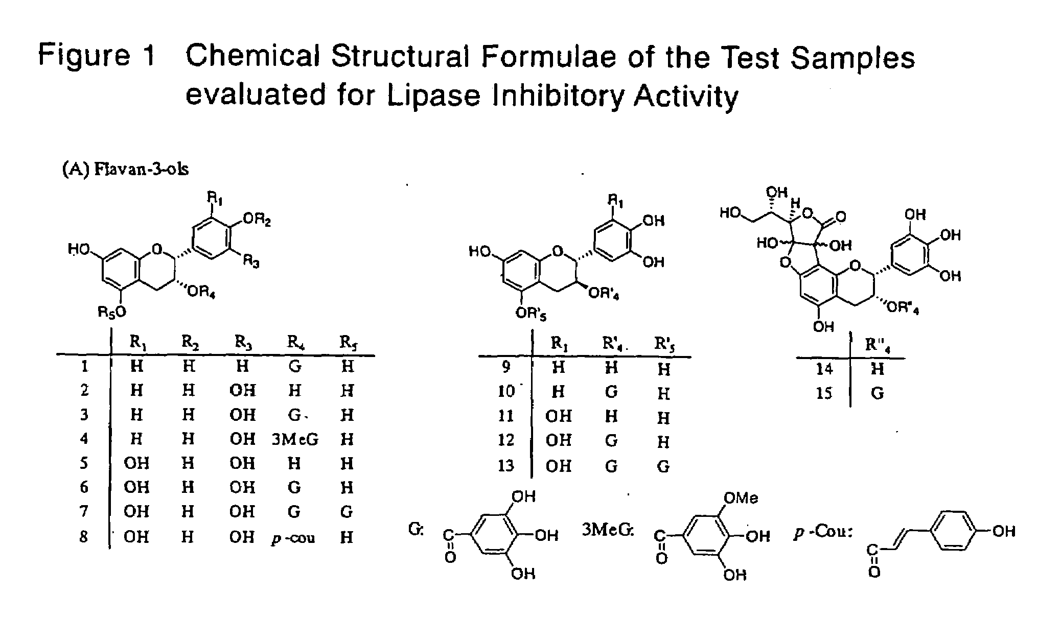 Lipase Inhibitors