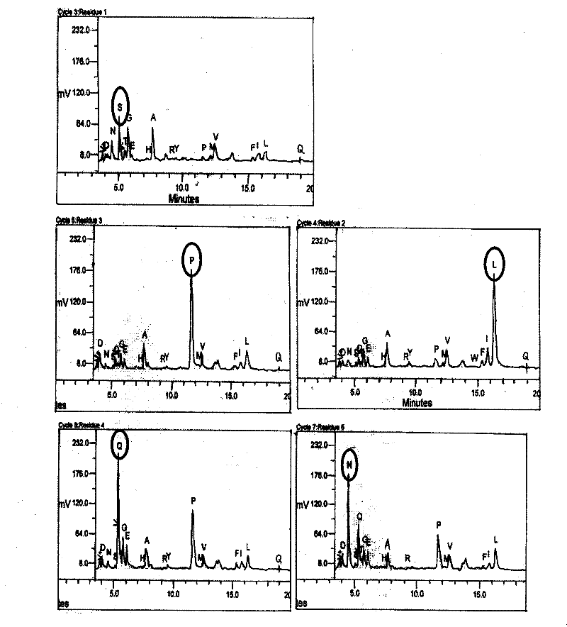 Lactobacillus plantarum ZJ316, procreant antibiotic peptides, preparation and use thereof