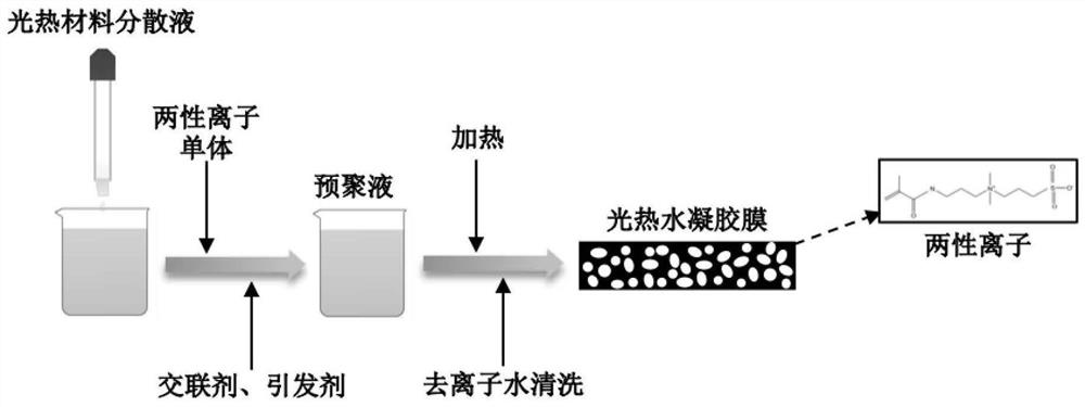 Amphoteric polyelectrolyte photo-thermal hydrogel as well as preparation and application thereof