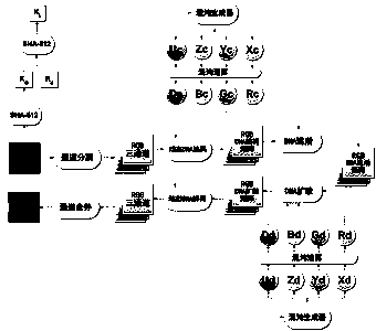 Color image encryption method based on dynamic DNA and 4D chaos