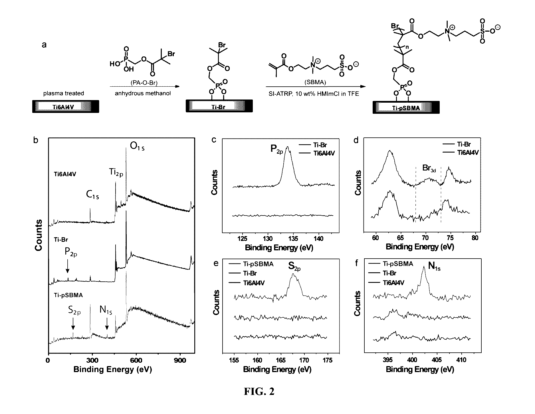 Compositions and methods for surface mineralization