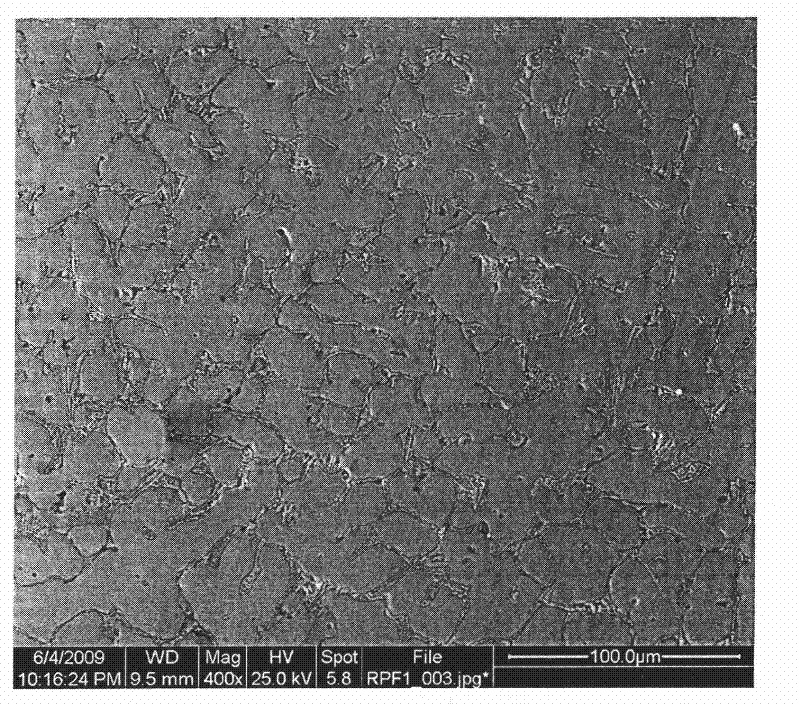 Iron-based alloy powder material for plasma cladding quick forming