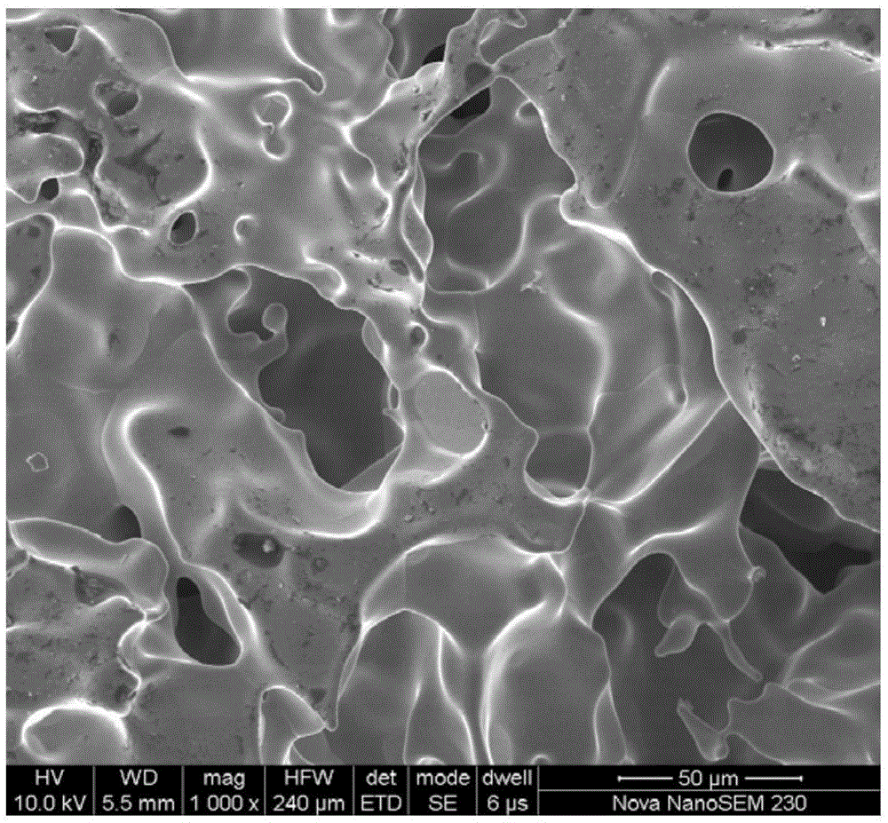 Preparation method for powder-sintered porous metal body resistant to chlorine corrosion