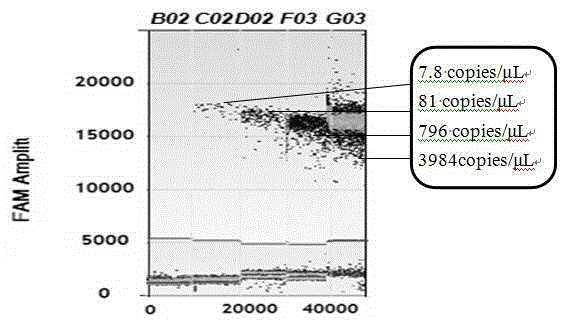 Primers and probe, kit and method used for precise and quantitative detection of ovine-derived materials