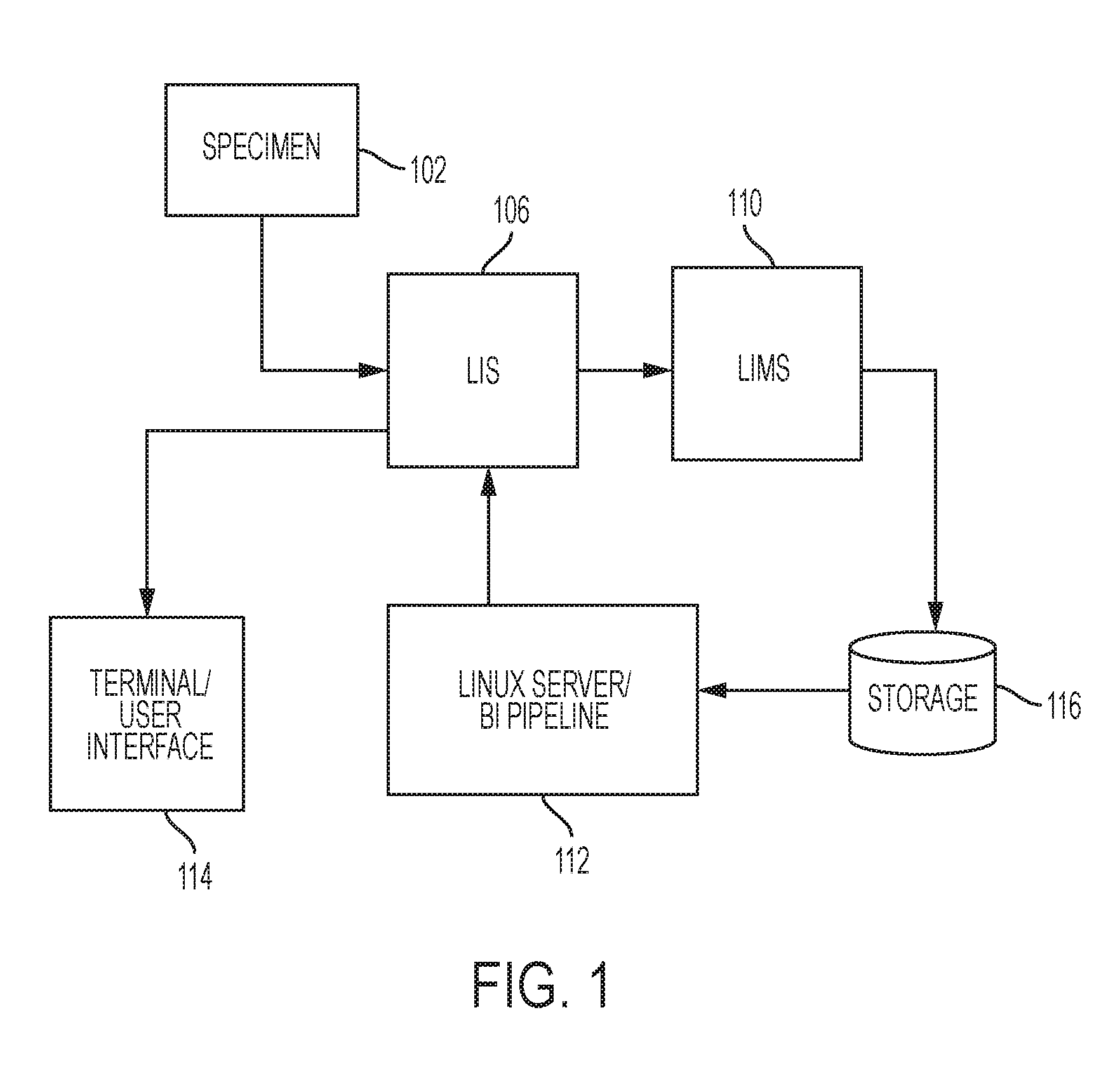 System, method and graphical user interface for creating modular, patient transportable genomic analytic data