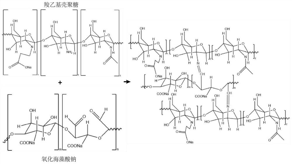 Injectable hydrogel adhesive capable of rapidly stopping bleeding as well as preparation method and application of injectable hydrogel adhesive