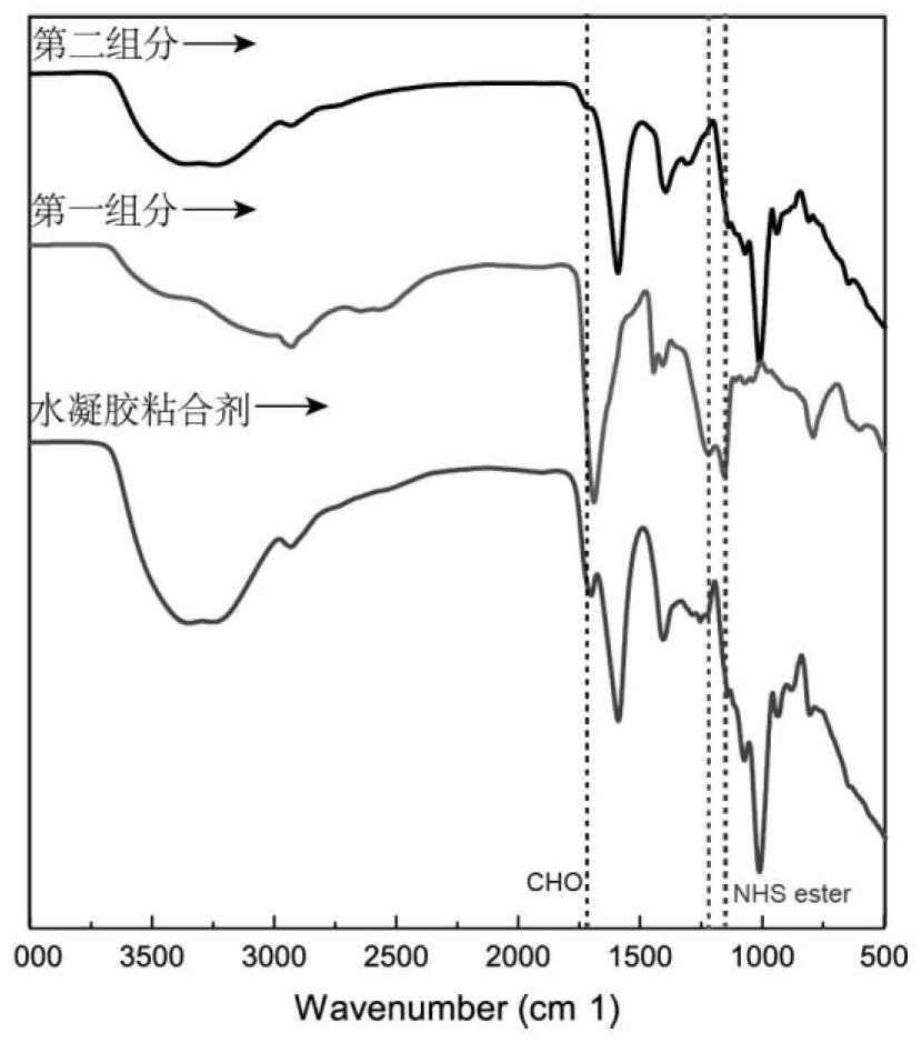 Injectable hydrogel adhesive capable of rapidly stopping bleeding as well as preparation method and application of injectable hydrogel adhesive