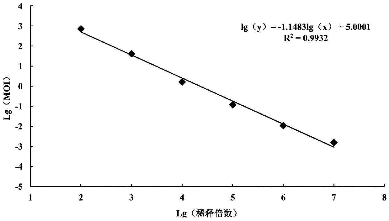 Absolute quantitative PCR method for rapidly determining titer of ascoviruses