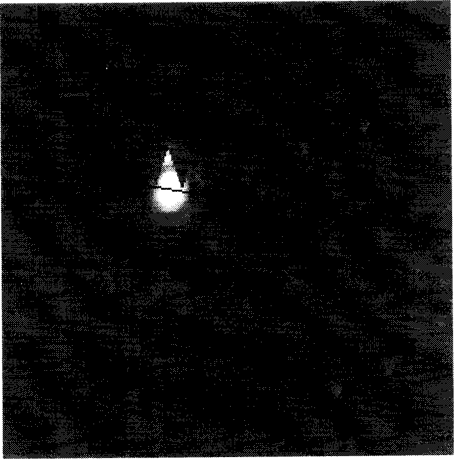 Pyridoxal phosphate internally cross-linked hematoglobin nanocapsule and its preparing method