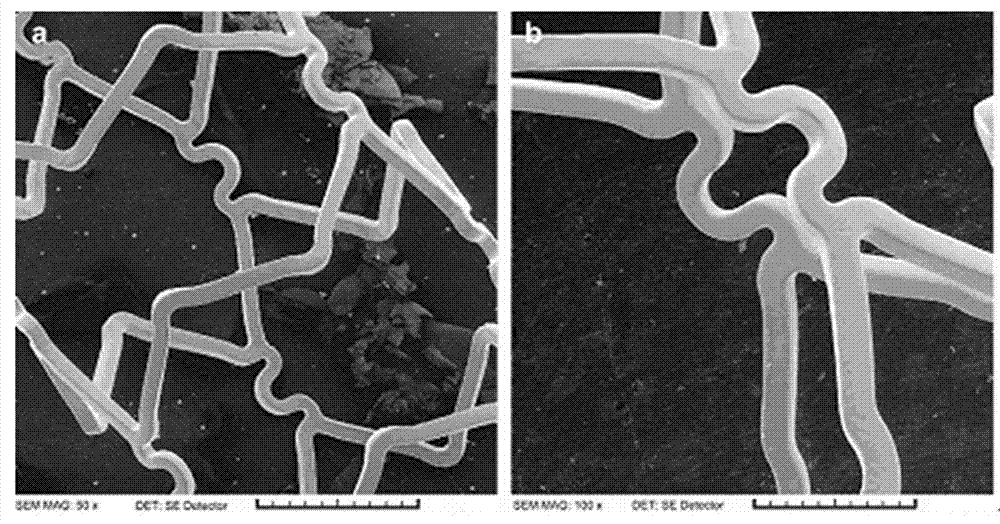 Ginkgolide B composite medicine eluting stent