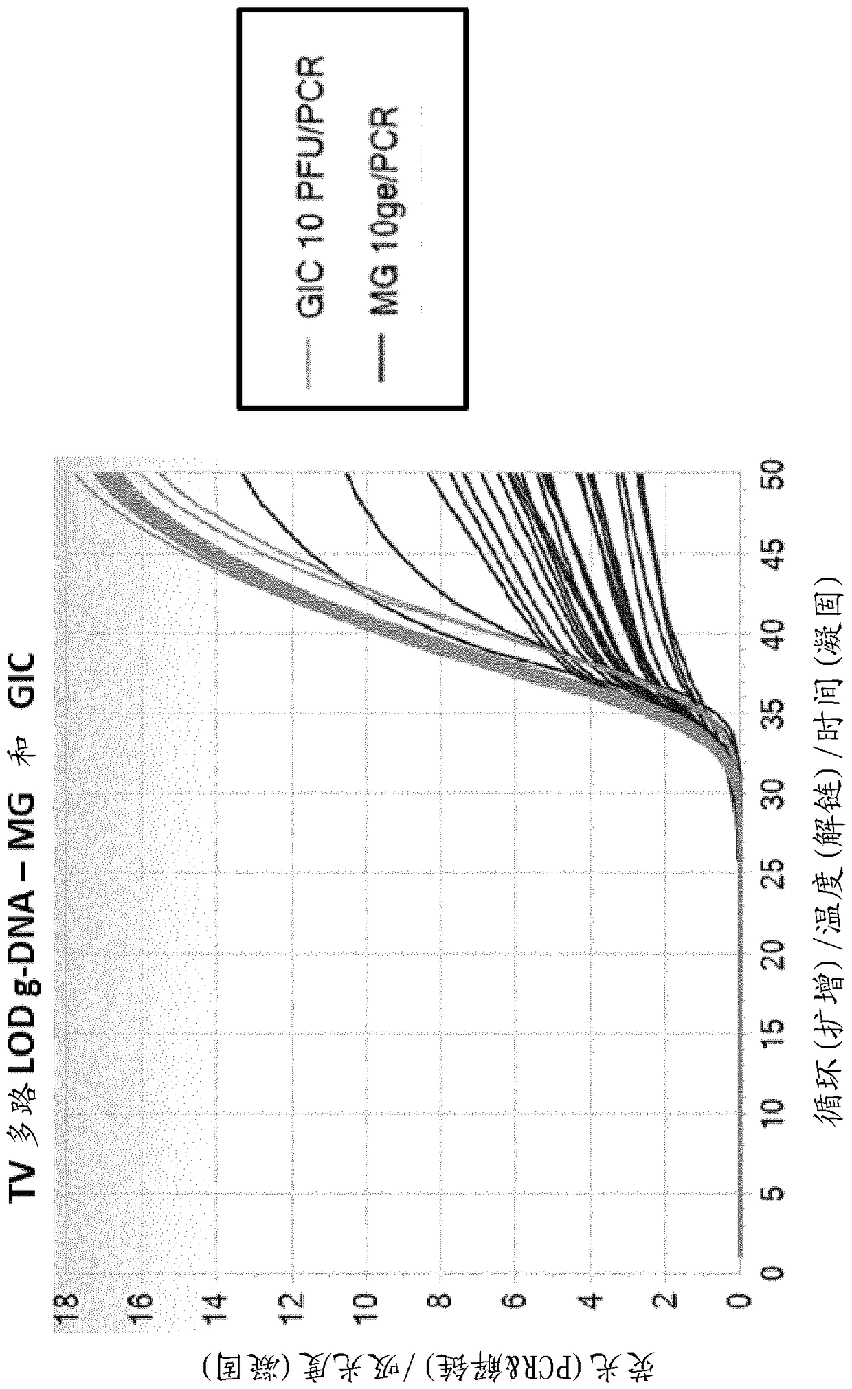 Compositions and methods for detection of trichomonas vaginalis