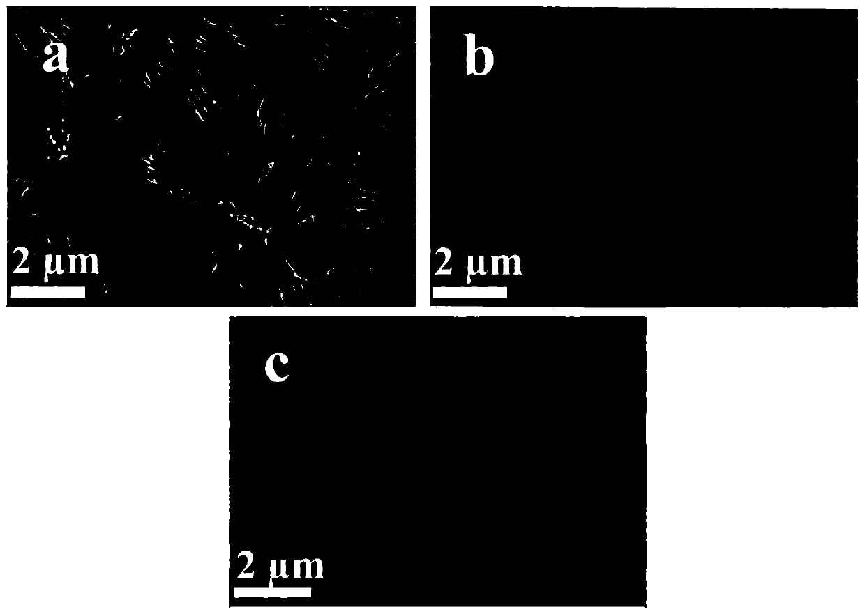 Preparation method for self-support ferrocobalt phosphide nanosphere electrocatalyst