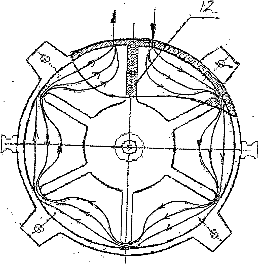 Radial tyre injection type vulcanizing capsule mold