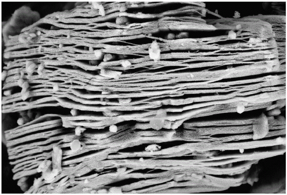 Preparation method of lamellar stacking titanium dioxide nanoparticles