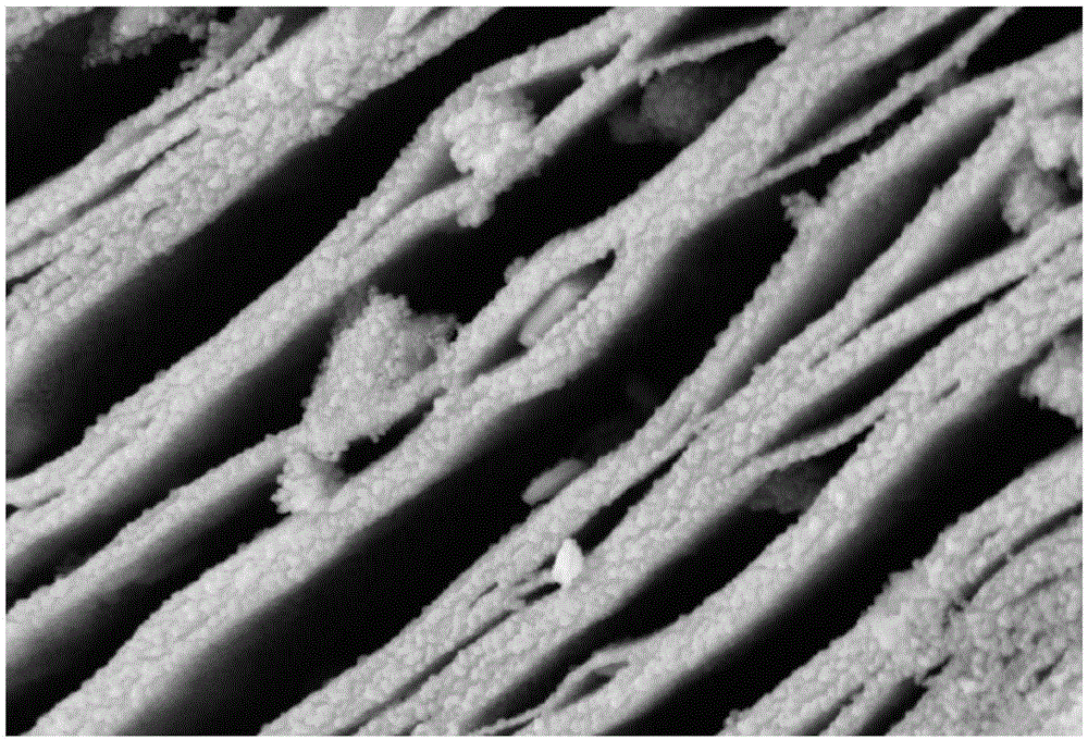 Preparation method of lamellar stacking titanium dioxide nanoparticles