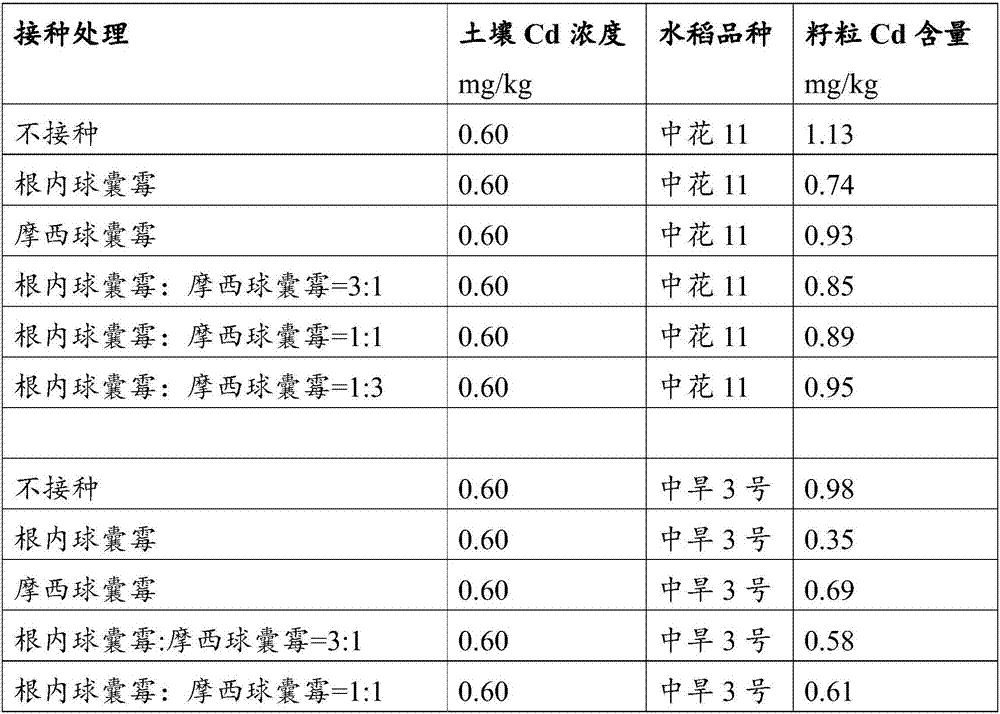 Method capable of reducing content of heavy metal cadmium in rice grains