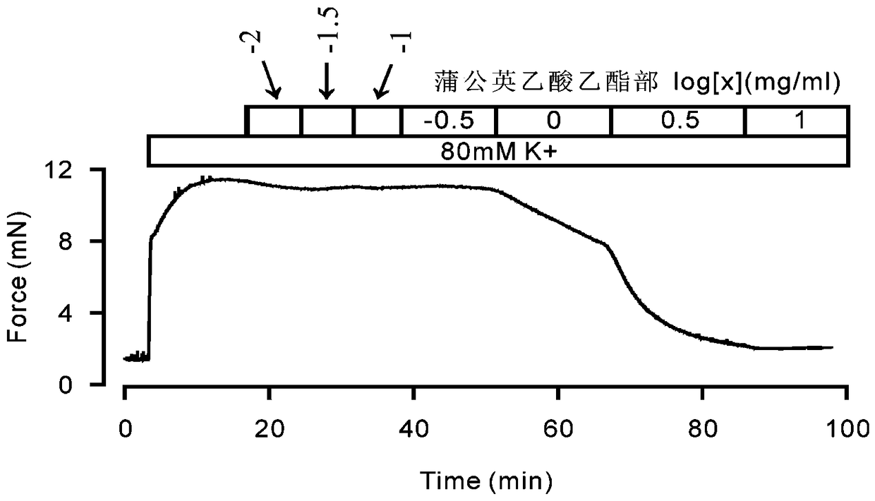 Application of dandelion or its extract in preparation of airway smooth muscle contraction inhibitor