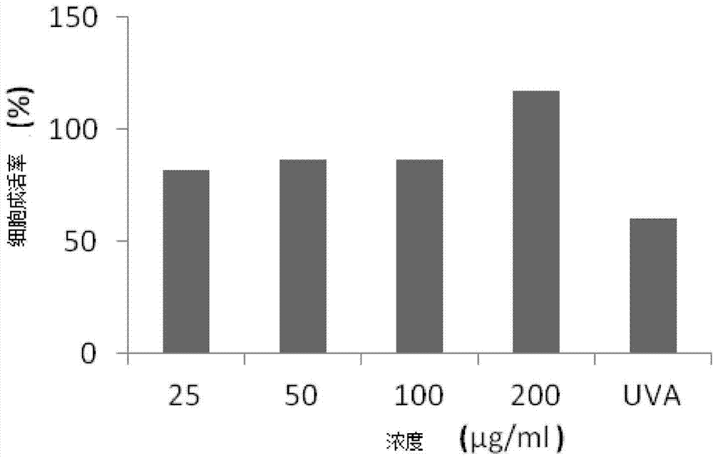 Application of fructus forsythia extract in preparation of health food or cosmetic with UVA (Ultraviolet A) radiation resistance and anti-aging effect