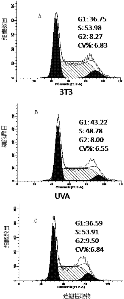 Application of fructus forsythia extract in preparation of health food or cosmetic with UVA (Ultraviolet A) radiation resistance and anti-aging effect