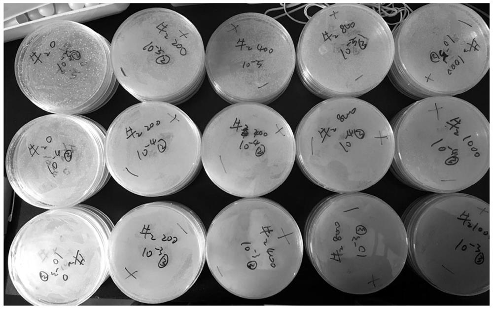 A selenium-enriched bacterium and its isolation method