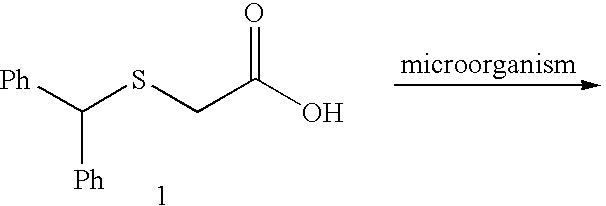 Microbial sulfoxidation and amidation of benzhdrylsulfanyl carboxylic acids and uses thereof